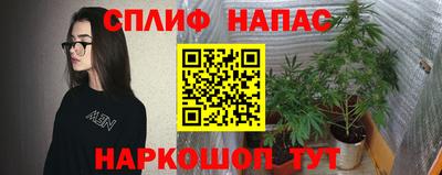 дживик Нальчик
