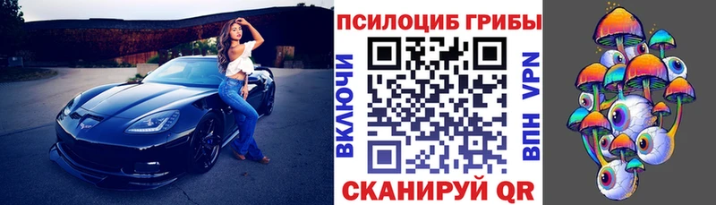 Псилоцибиновые грибы мицелий  хочу наркоту  Фрязино 