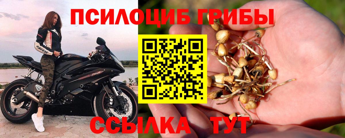 Галлюциногенные грибы прущие грибы  Псилоцибиновые грибы Cubensis  Фрязино  Вход с VPN 