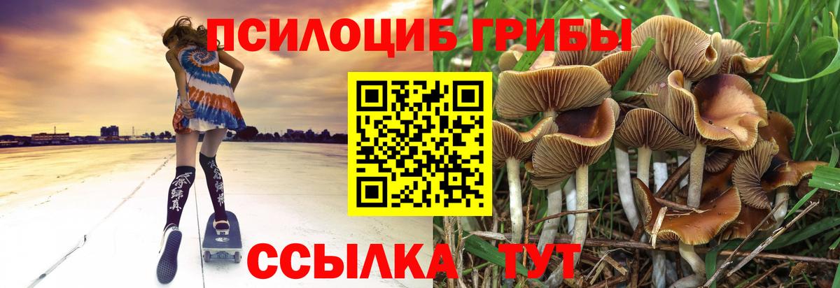 Псилоцибиновые грибы мицелий Фрязино